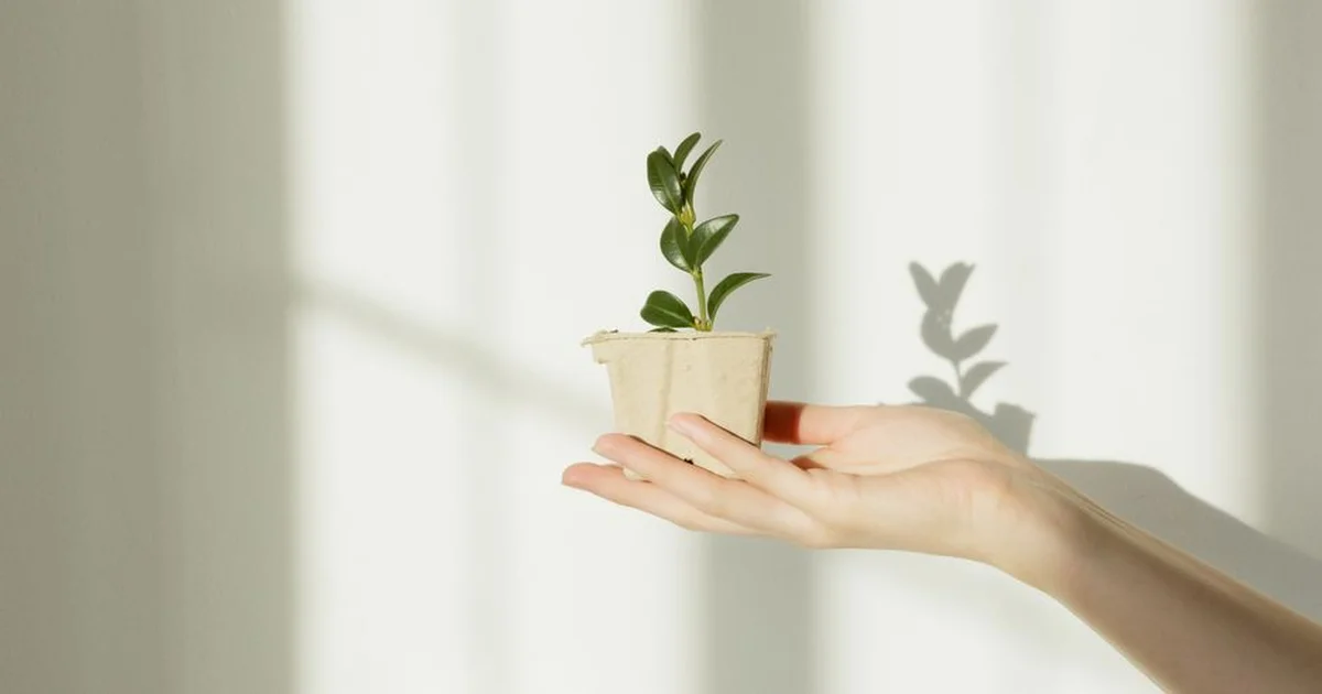 Gerente y colaborador en conversación de coaching usando el modelo GROW en una sala de trabajo